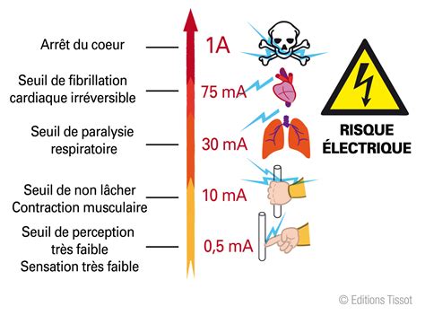 Diagramme illustrant l'efficacité de l'électrocution racinaire selon le type de sol