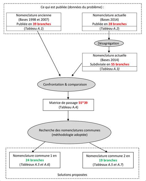 Diagramme explicatif sur la répartition des fruits et la coupe des branches terminales pour une meilleure fructification