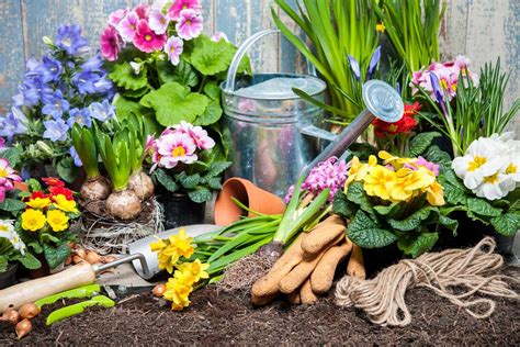 jardinage au printemps