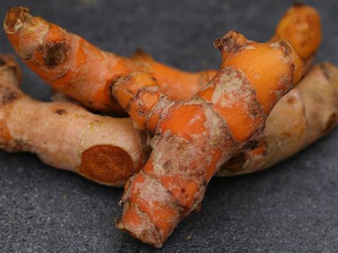 Rhizomes de curcuma frais après récolte