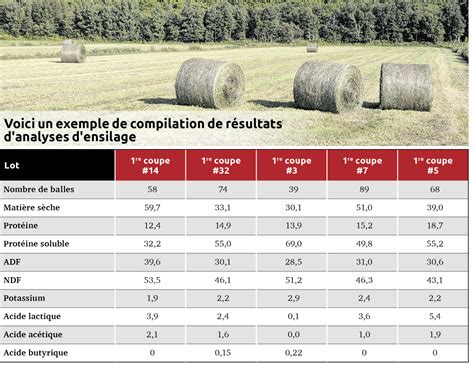 graphique comparatif de la longévité des différentes espèces fourragères