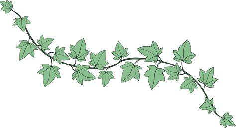 Illustration d'une colonie d'orobanches du lierre émergeant au milieu d'un tapis de feuillage vert