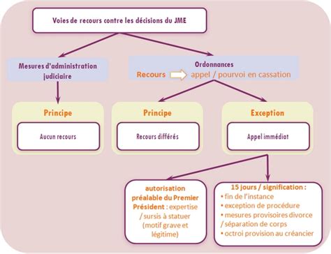 schéma simplifié de la procédure d'appel d'une décision de tutelle