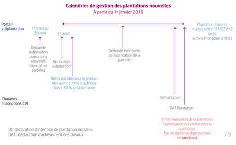 Infographie comparant les droits de plantation et les autorisations de plantation
