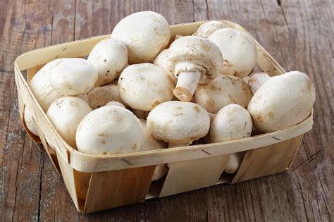 Champignon de Paris frais