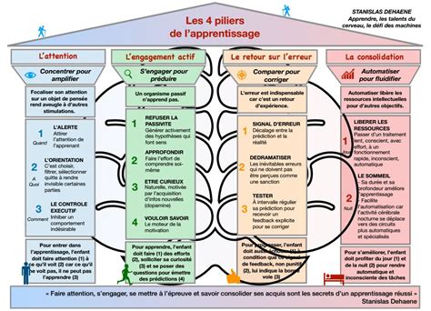 Infographie résumant les 4 piliers de la réussite du bouturage : timing, tige, hormone et entretien