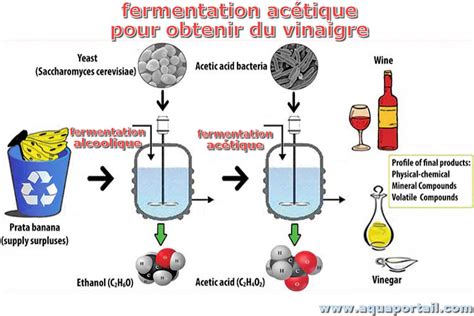 Schéma illustrant le processus de fermentation du purin d'ortie dans un bidon en plastique