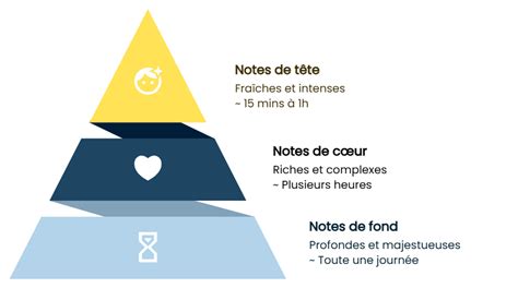 Schéma de la pyramide olfactive simplifiée de Premier Figuier