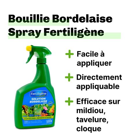 Bouillie bordelaise pulvérisée sur des feuilles
