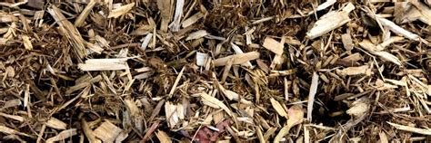 Exemples de paillis organiques (copeaux de bois, paille, feuilles mortes)