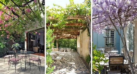 Pergola végétalisée avec des plantes grimpantes en fleurs