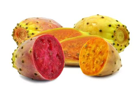 Illustration d'un fruit de figue de barbarie et de ses graines