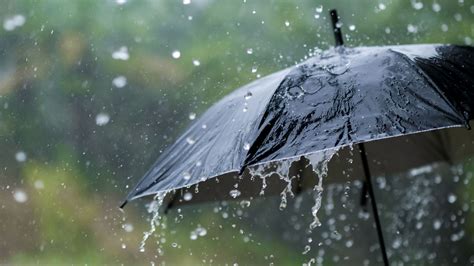 Photo de travailleurs forestiers opérant sous une forte pluie ou dans le froid