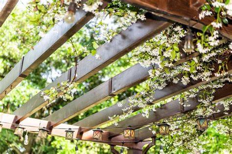 Illustration d'une pergola recouverte de jasmin en pleine floraison