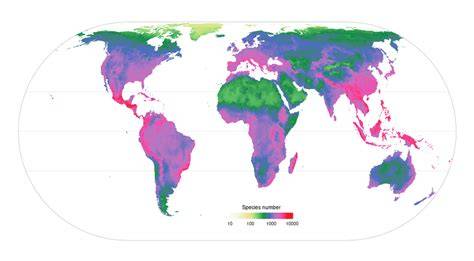 Carte mondiale des zones de répartition des plantes succulentes