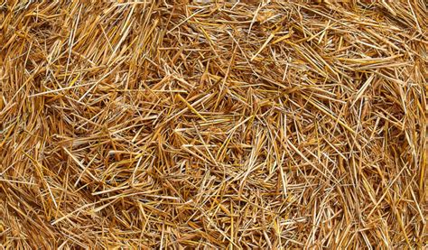 Exemples de paillis : paille, feuilles mortes, BRF