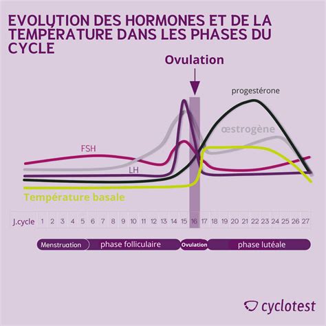 graphique montrant la variation de l'humeur et des capacités cognitives au cours de la journée