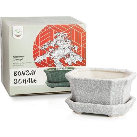 Soucoupe pour pot de bonsaï