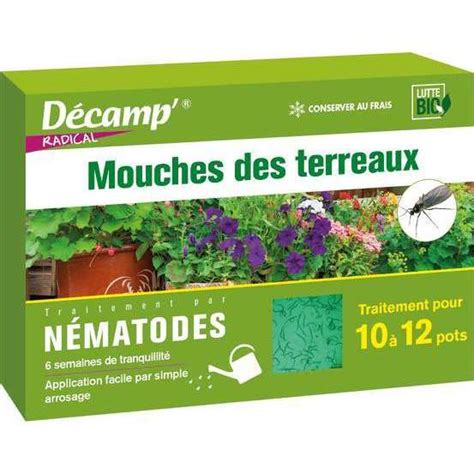 Nématodes contre les mouches des plantes