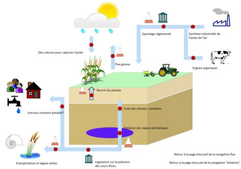 Diagramme des risques de lixiviation des nitrates et de l'impact sur les nappes phréatiques