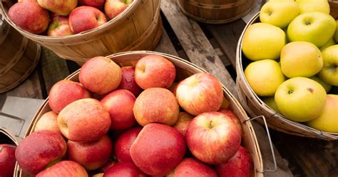 Variétés de pommes à cueillir