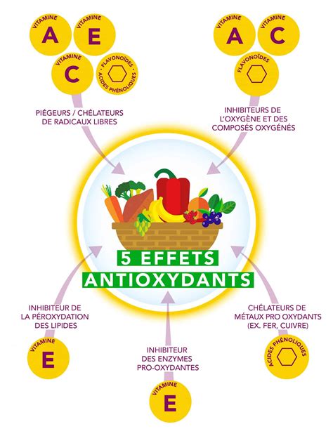 Infographie comparant les taux de vitamines et antioxydants entre variétés paysannes adaptées et variétés hybrides