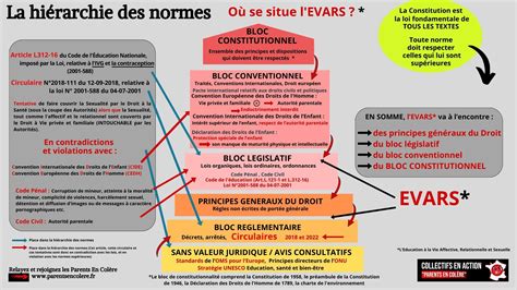 Infographie montrant la hiérarchie des registres officiels en France (INSEE, RNE, INPI) et leur utilité pour le consommateur