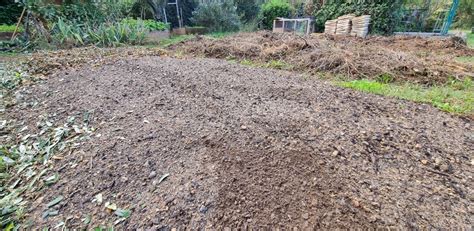 Schéma d'association végétale pour un jardin de terre de bruyère structuré.