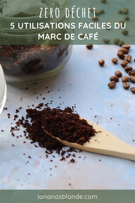 Infographie présentant les multiples utilisations du marc de café dans la maison : jardin, beauté et entretien