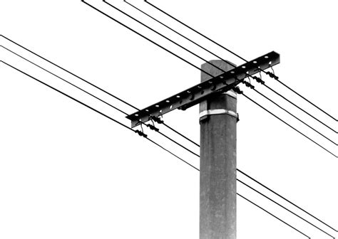 Schéma illustrant un poteau téléphonique sur le domaine public envahi par le lierre