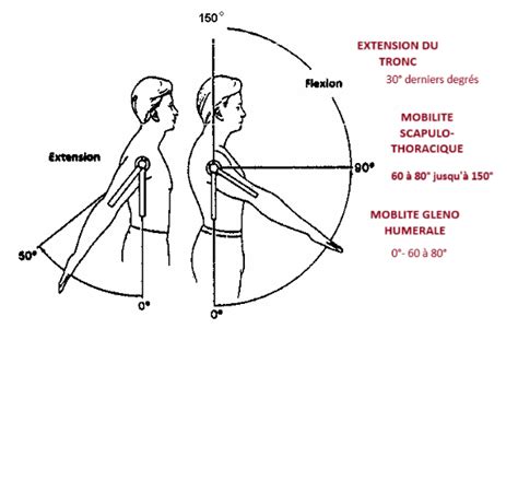 Schéma illustrant l'angle d'enroulement optimal du fil à 45 degrés sur une branche de bonsaï