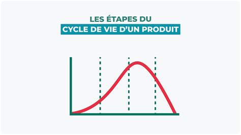 Infographie montrant le cycle de croissance d'un semis de myrtillier sur six mois