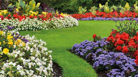 jardin fleuri avec des touches de rouge vif