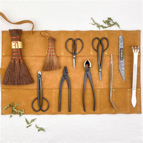 Assortiment d'outils japonais pour bonsaï disposés avec élégance