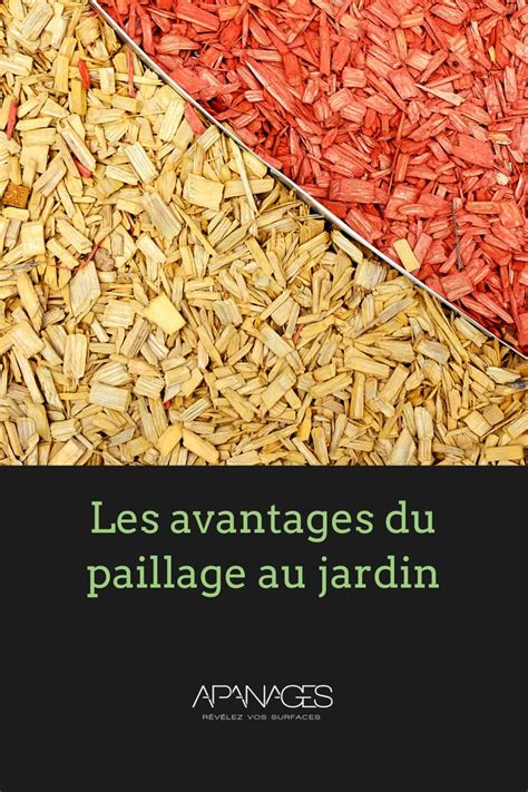 Les 8 avantages du paillage