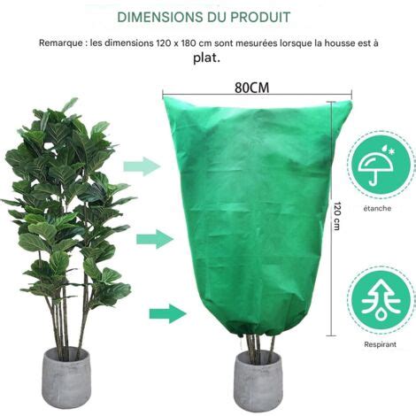 Schéma des protections hivernales pour les plantes