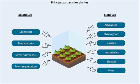 Infographie sur les types de résistance des plantes