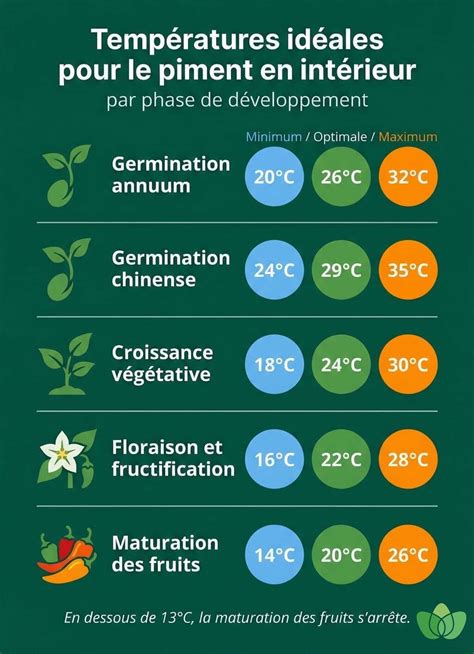 Infographie sur les températures idéales pour les semis
