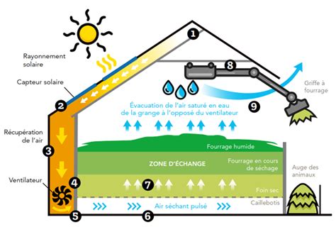 schéma illustrant le séchage de l'herbe en andains