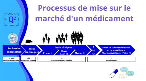 Schéma illustrant le processus d'autorisation de mise sur le marché (AMM) d'un médicament à base de plantes