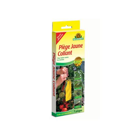 Piège collant jaune pour aleurodes
