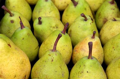 conservation des poires en cave