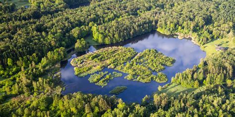 Vue aérienne des étangs du Carrousel à Berrwiller