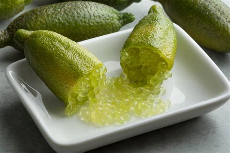 Image d'un citron caviar mûr prêt à être récolté sur l'arbre