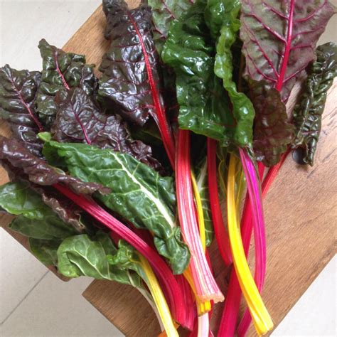 Variétés de poirées avec leurs différentes couleurs de côtes