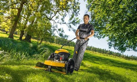 Débroussailleuse 3 roues en action dans un jardin