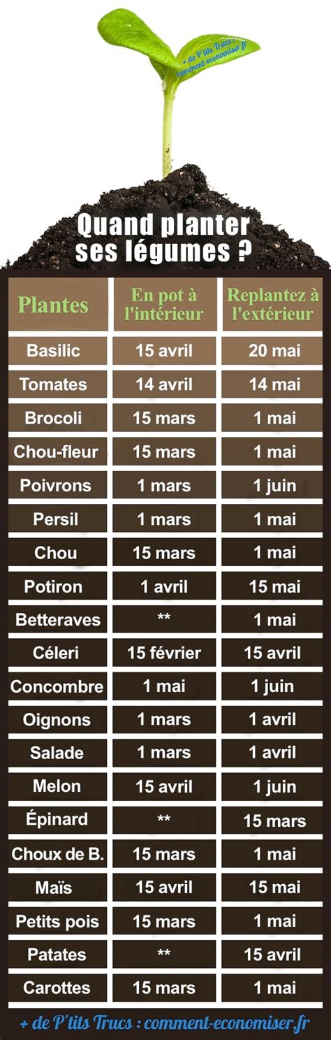 Tableau récapitulatif des distances de plantation recommandées entre les légumes et aromates