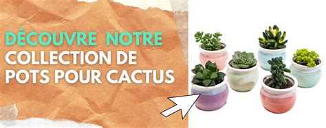 Schéma illustrant le drainage idéal pour les cactus en pot