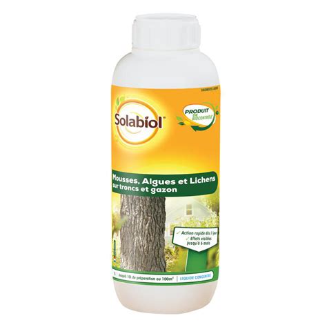 Comparaison visuelle entre un arbuste fertilisé avec Solabiol et un arbuste non traité