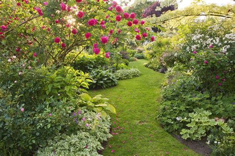 Illustration d'un jardin d'ornement bien planifié